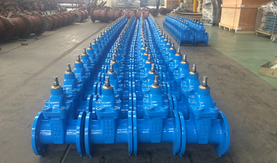 Cina Fengbao Valve Manufacturing Co., Ltd.