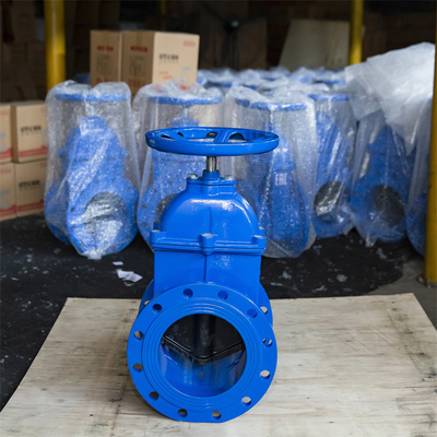 Il ferro duttile resiliente della valvola a saracinesca di DN50 Seat ha flangiato rivestimento a resina epossidica del doppio PN16