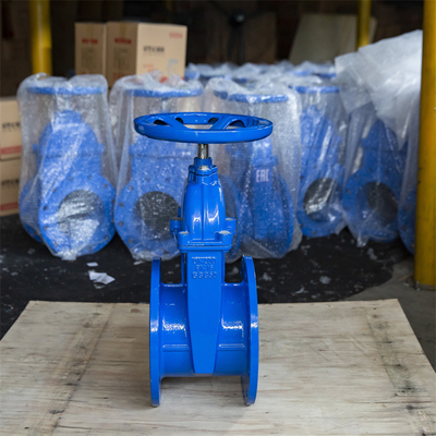 Acqua di scarico molle duttile DN200 DN150 QT400 della guarnizione della valvola a saracinesca del ferro Ggg40